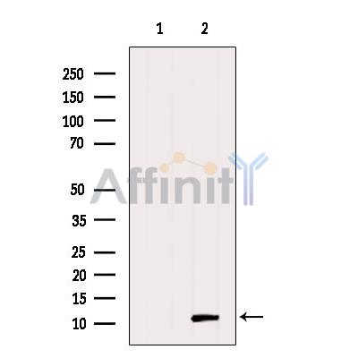 Валидация Affinity DF2909 - 13642