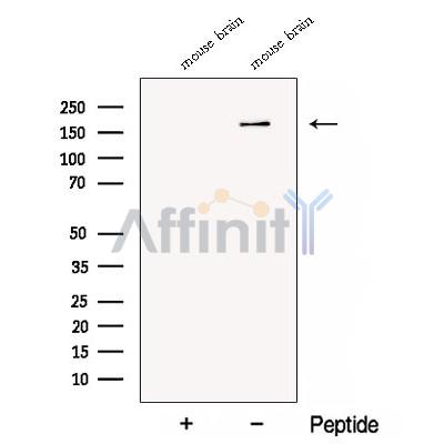 Валидация Affinity DF12925 - 7678