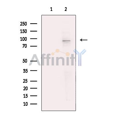 Валидация Affinity DF4477 - 16009