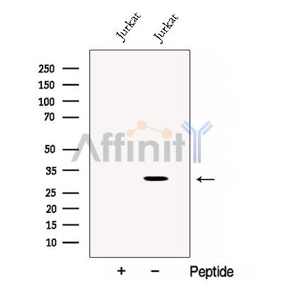 Валидация Affinity DF12915 - 7666