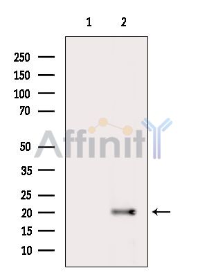 Валидация Affinity DF10193 - 5744