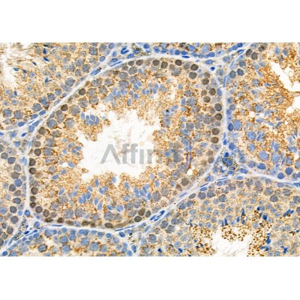 Валидация Affinity DF3255 - 14101