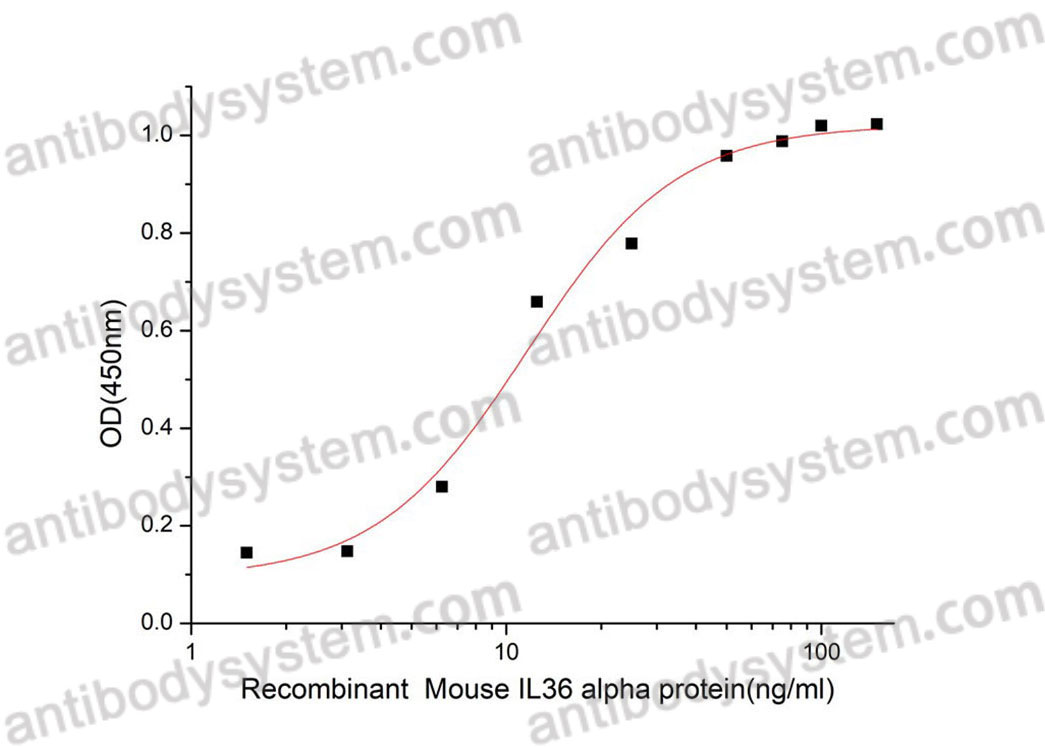 Валидация активности AntibodySystem AMJ75601