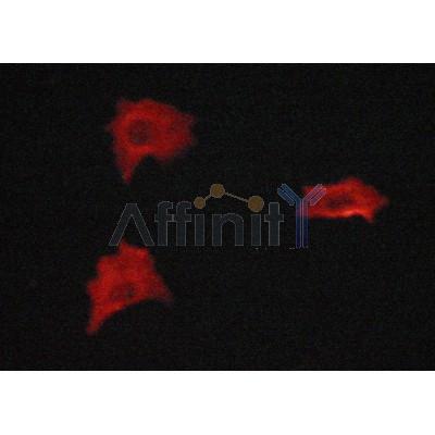 Валидация Affinity AF7013 - 4157