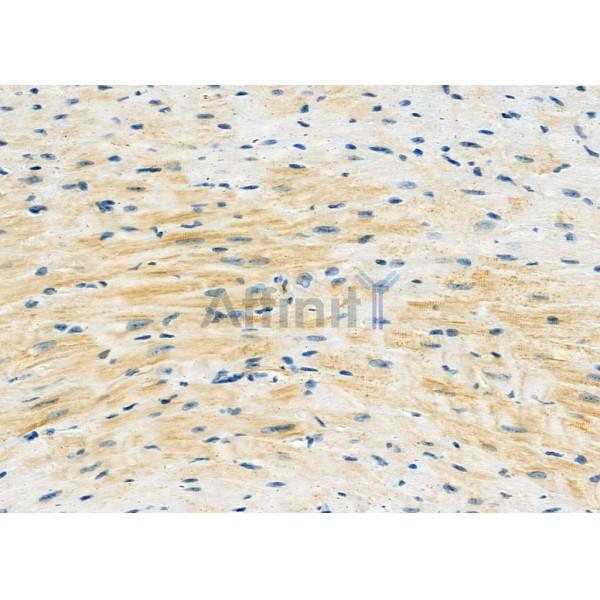 Валидация Affinity DF12274 - 6615