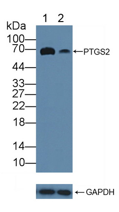 12110