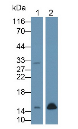 10935