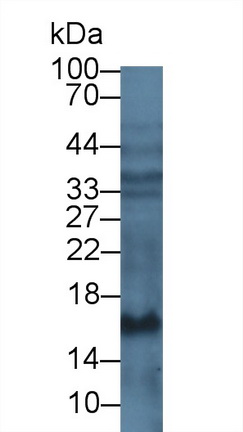 10542