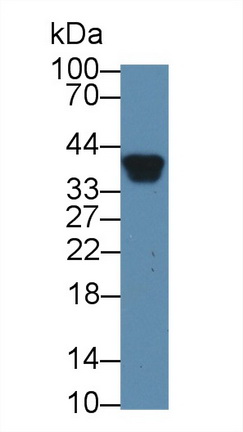 12805