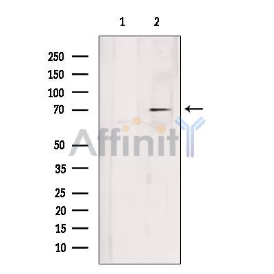 Валидация Affinity DF7675 - 19445