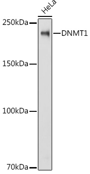 Валидация AssayVector ARM2510(4493)
