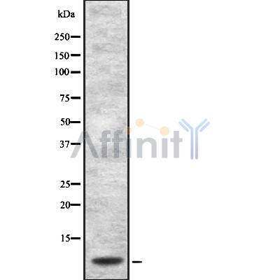 Валидация Affinity DF8527 - 20402