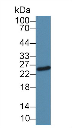 10490
