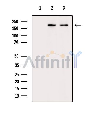 Валидация Affinity DF14478 - 10456