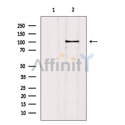 Валидация Affinity DF4511 - 16072