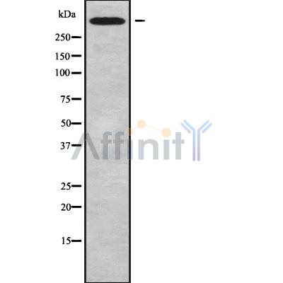 Валидация Affinity DF9382 - 21916