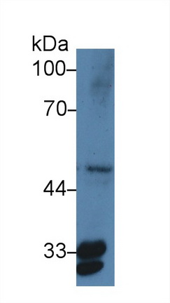 9364