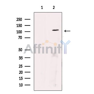 Валидация Affinity DF12343 - 6773