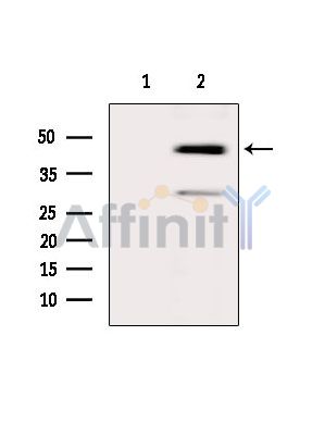 Валидация Affinity DF2563 - 13230