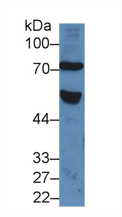 9759