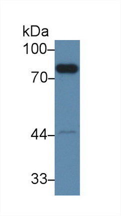 10289