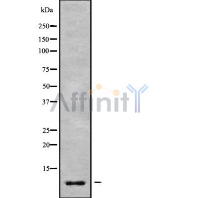 Валидация Affinity DF9562 - 22233
