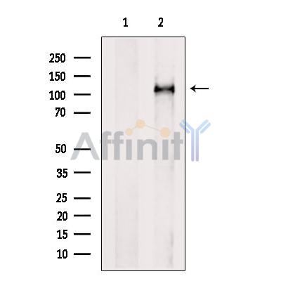 Валидация Affinity DF6732 - 18265