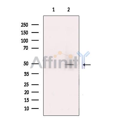 Валидация Affinity DF13622 - 9143