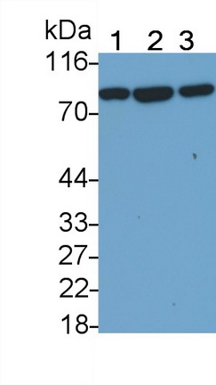 57659
