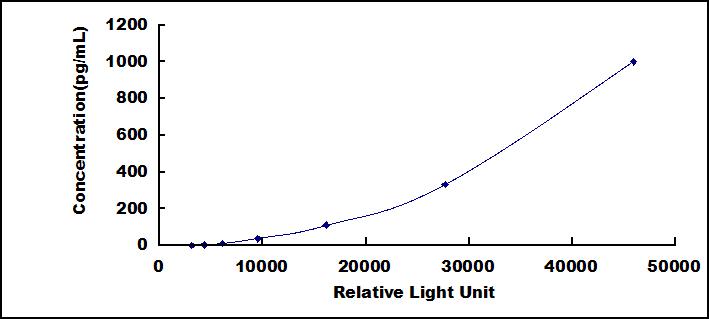 46293