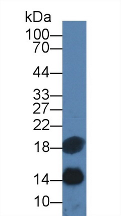 10673