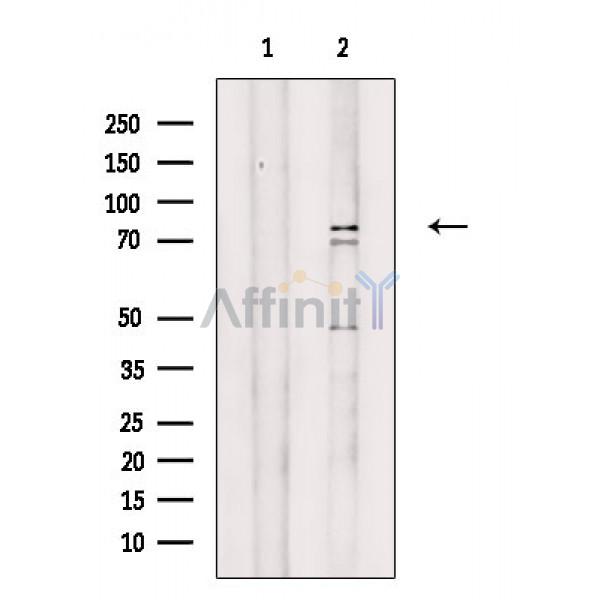 Валидация Affinity DF2289 - 12845