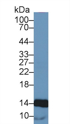 62686