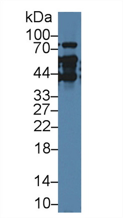 8630