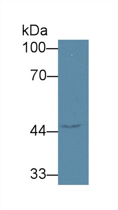 14113