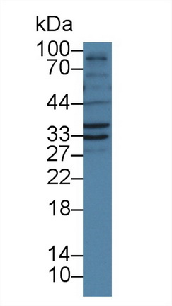 8840