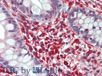 10594