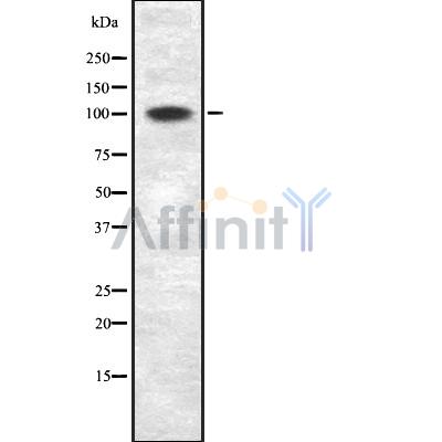Валидация Affinity DF8409 - 20281