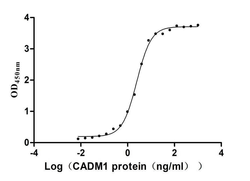 Функциональный ИФА: связывание человеческого CRTAM с CADM1
