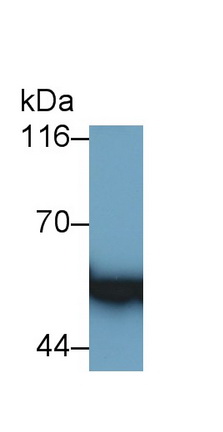 5949