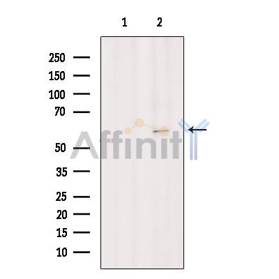 Валидация Affinity DF4971 - 16811