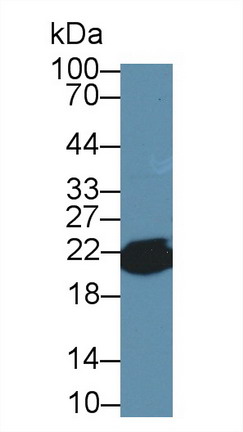 8387