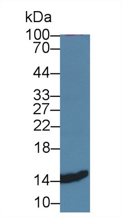 14738