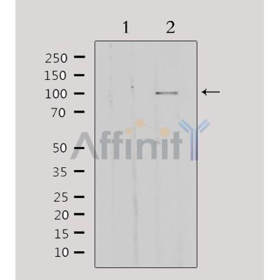 Валидация Affinity DF3372 - 14252