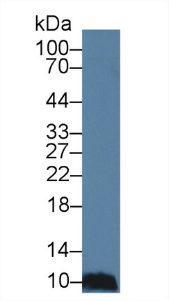 9477