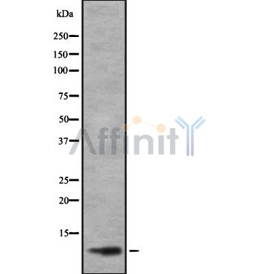 Валидация Affinity DF8832 - 20899