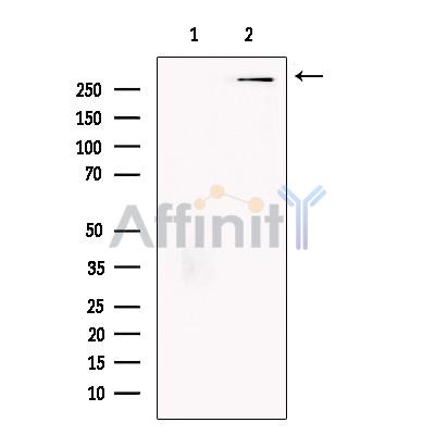 Валидация Affinity DF13490 - 8867