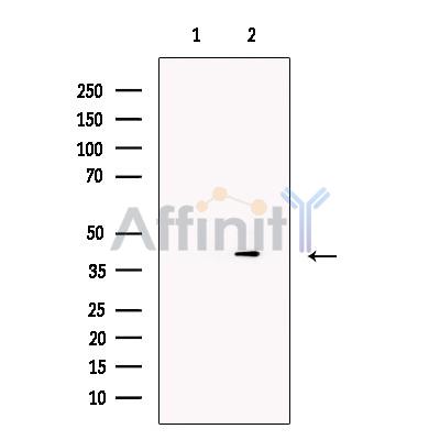 Валидация Affinity DF13246 - 8307