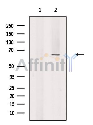 Валидация Affinity DF4054 - 15318
