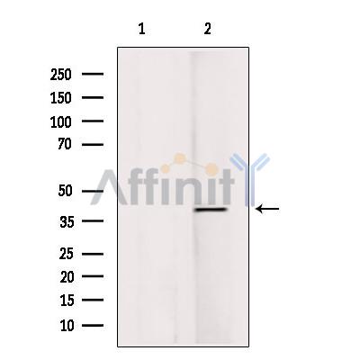 Валидация Affinity DF6335 - 17667